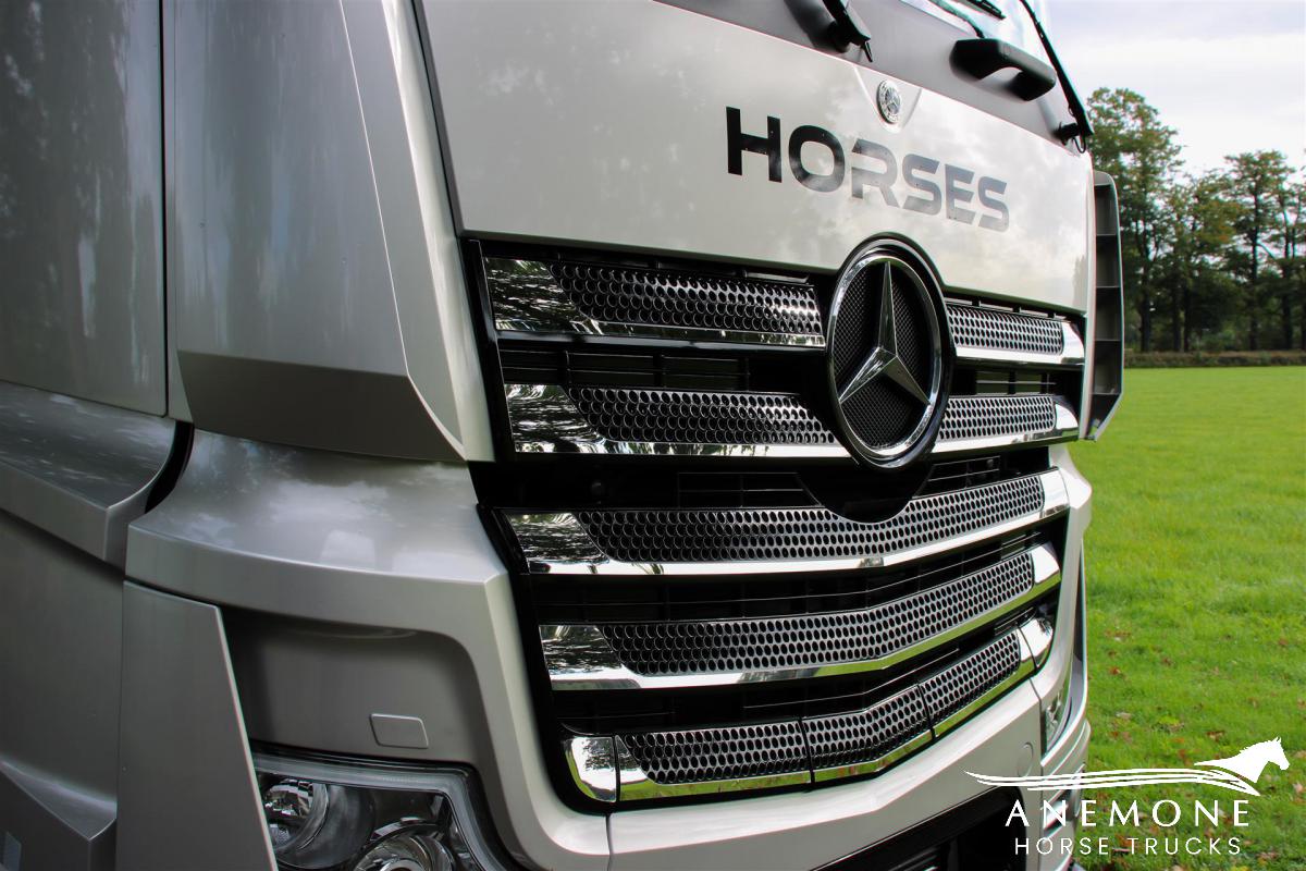 Mercedes Actros STX 5 horses 3